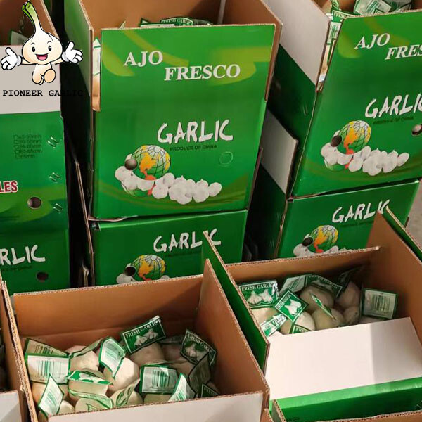 Wholesale 4.5cm Garlic Garlic In Carton From China Grade White Garlic
