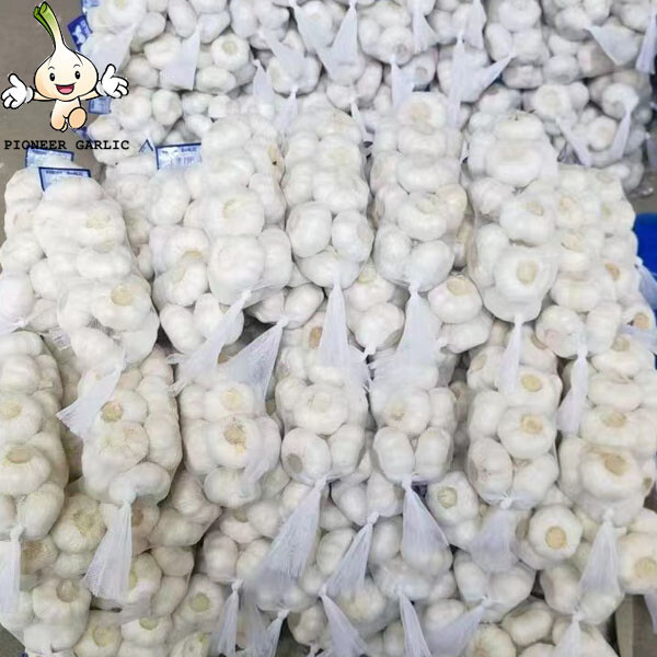 Ajo blanco seco a la venta/precio de ajo fresco de fábrica de China jinxiang