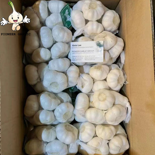 Jining ajo a la venta 5 piezas en cartón de 10 kg/precio de ajo blanco puro en China