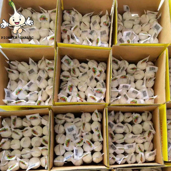 Garlic In Bags original used wholesale people liked pure white garlic