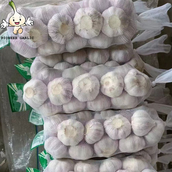 Wholesale Products Natural Garlic Red Fresh Garlic 5.5CM 500G/Bag