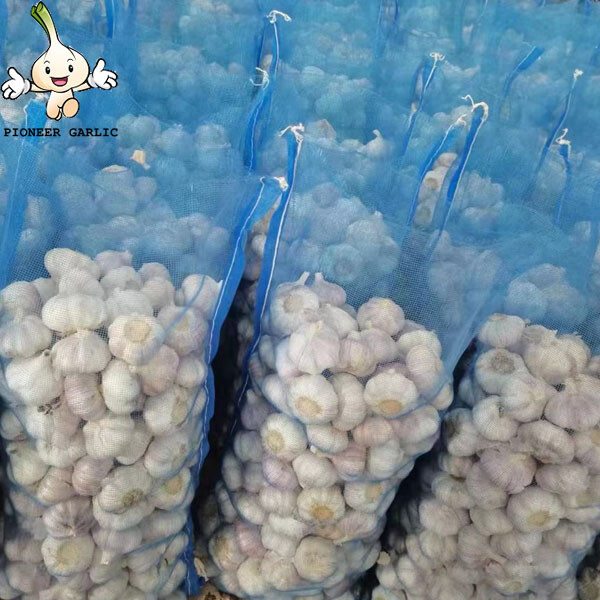 New Fresh White Garlic of 20kg mesh bag Garlic Producer Pure White Fresh Garlic