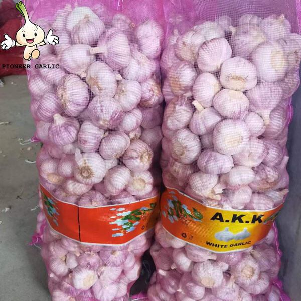 China new fresh snow white garlic and natural white on sale