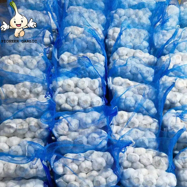 Ajo blanco seco a la venta/precio de ajo fresco de fábrica de China jinxiang