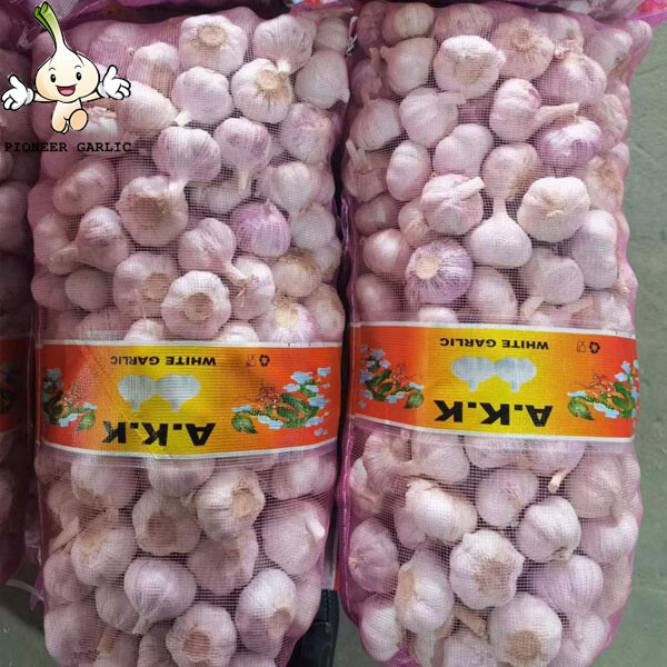 orginal source fresh garlic normal white 5cm for garlic in 20kg mesh bag