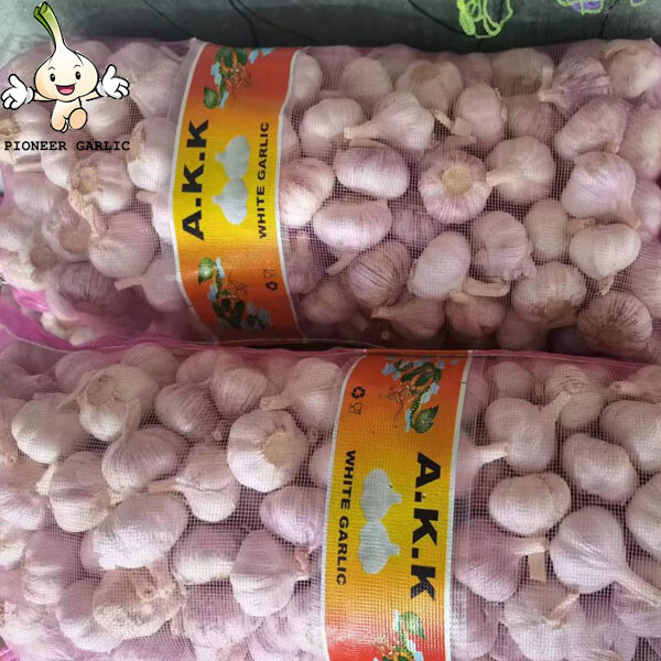 White Garlic From China (5.0cm,5.5cm) Wholesale Best Quality Normal White Garlic