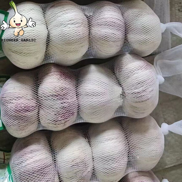 pure white garlic for exporting, fresh normal white garlic 2022 Fresh Garlic
