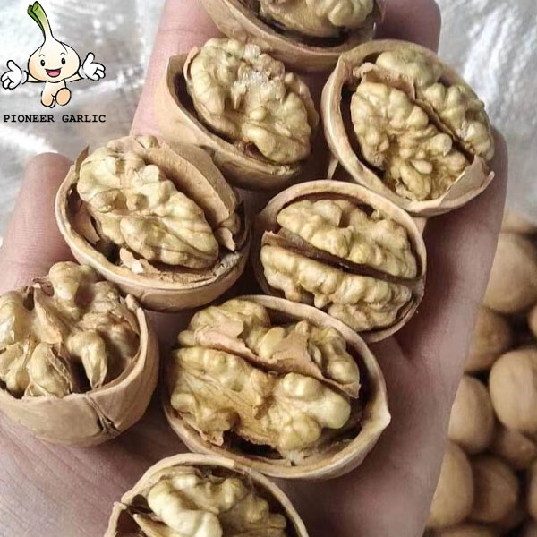Wholesale Natural Organic First Grade White Walnuts In Shell Bulk Raw Walnut Kernels Nuts & Kernels