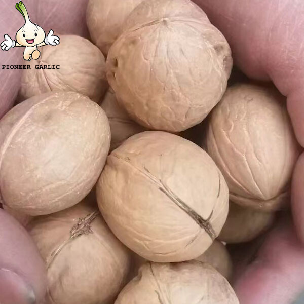 Chinese high quality whole walnut in shell walnut kernels Top Grade Walnuts With Shell Kernel Dried Walnuts