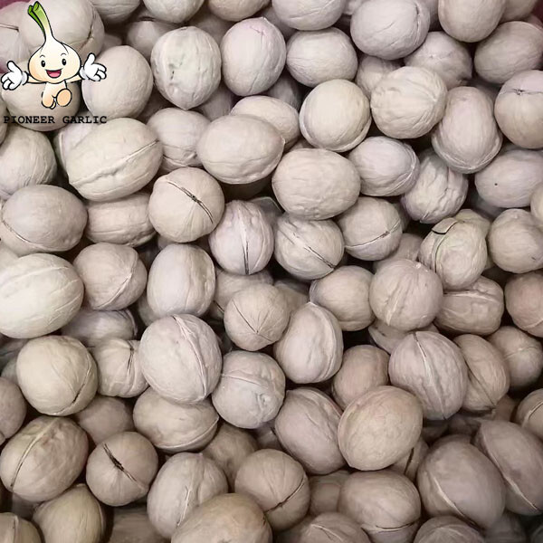 Nuez entera china de alta calidad en granos de nuez de cáscara/nueces de grado superior con núcleo de cáscara/nueces secas