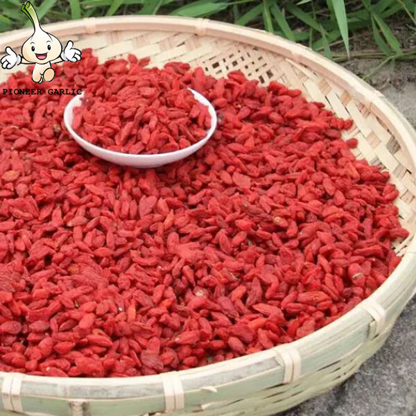 Productos de frutas saludables al por mayor/bayas de goji rojas secas chinas 500g en cajas