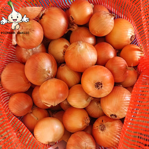 Yellow Natural Fresh Onion With Sweet Flavour Contains Water, Sugar, More resistant to storage,transportation