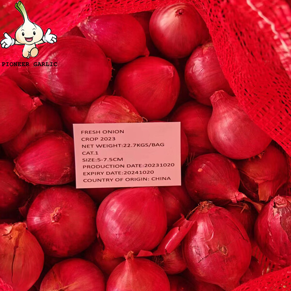 2cm - 3cm Red Onion Shallot