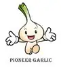 Garlic price 10kg/20kg mesh bag of normal white garlic - PIONEER GARLIC GROUP