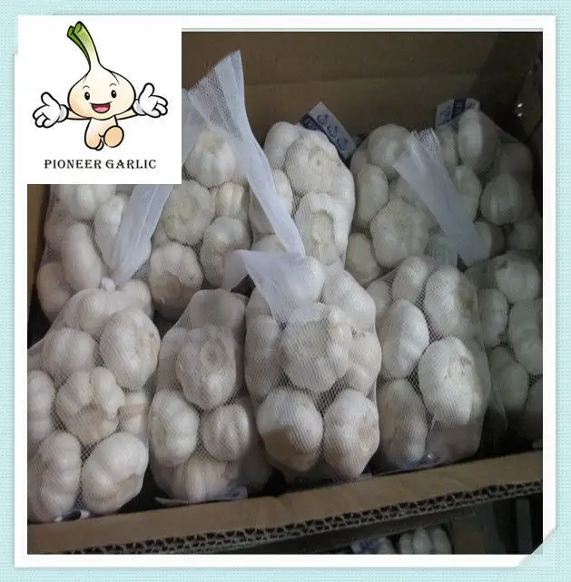 from trustful China supplier export 2015 year new crop fresh garlic