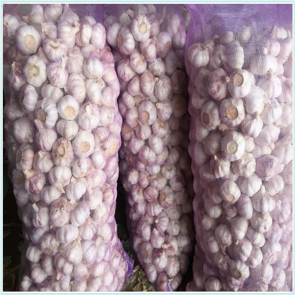 wholesale garlic,garlic price for wholesale market Fresh Jinxiang garlic