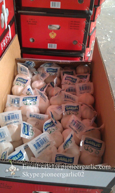 New Crop Chinese 4.5cm Pure White Fresh Garlic In 10 kg Box Packing