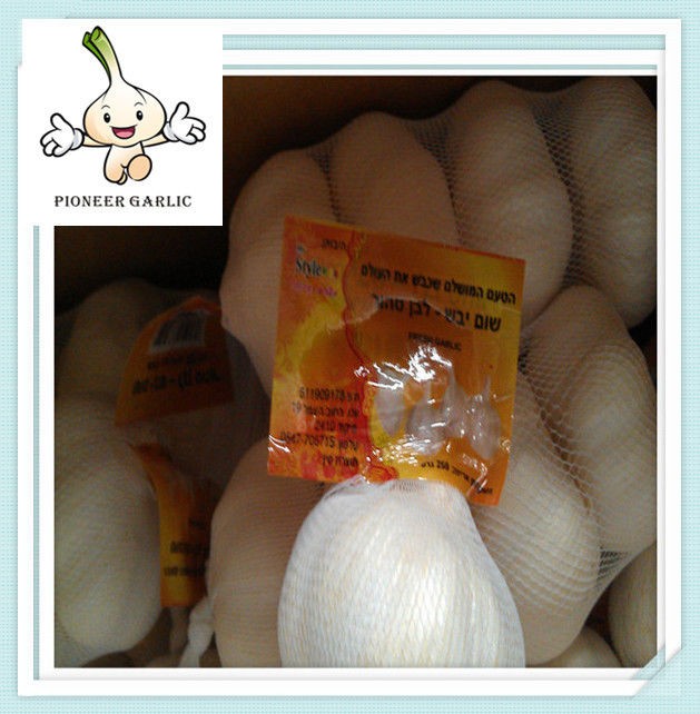 Fresh Garlic Snow White Garlic 5.0cm up 10kg or 20kg Mesh bags