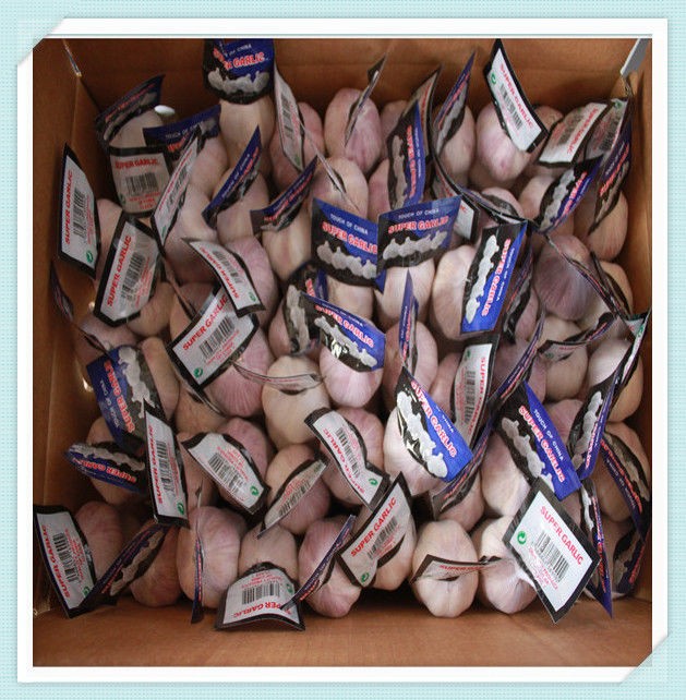 2015 high quality jinxiang fresh pure white garlic chinese new crop garlic