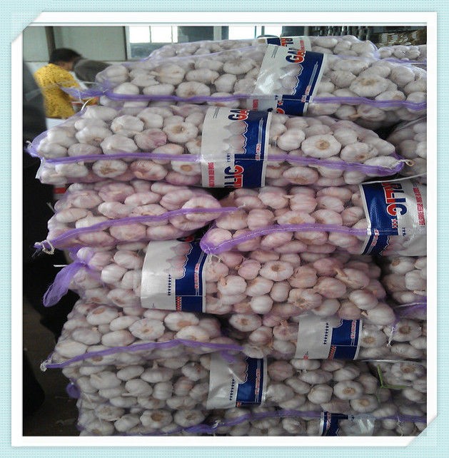 2015 New Pure White Fresh Chinese Garlic Large Quantity