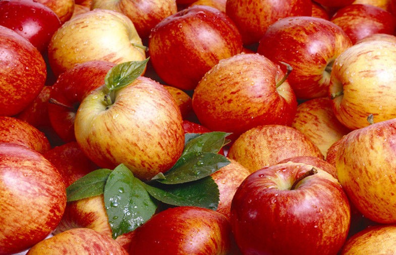 Pome Fruit , Fresh Red Organic Fuji Apple 7cm With Sugars , Vitamin C