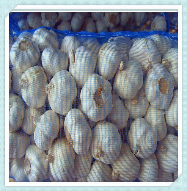 supply Chinese jinxiang fresh normal white garlic (10kg carton box)