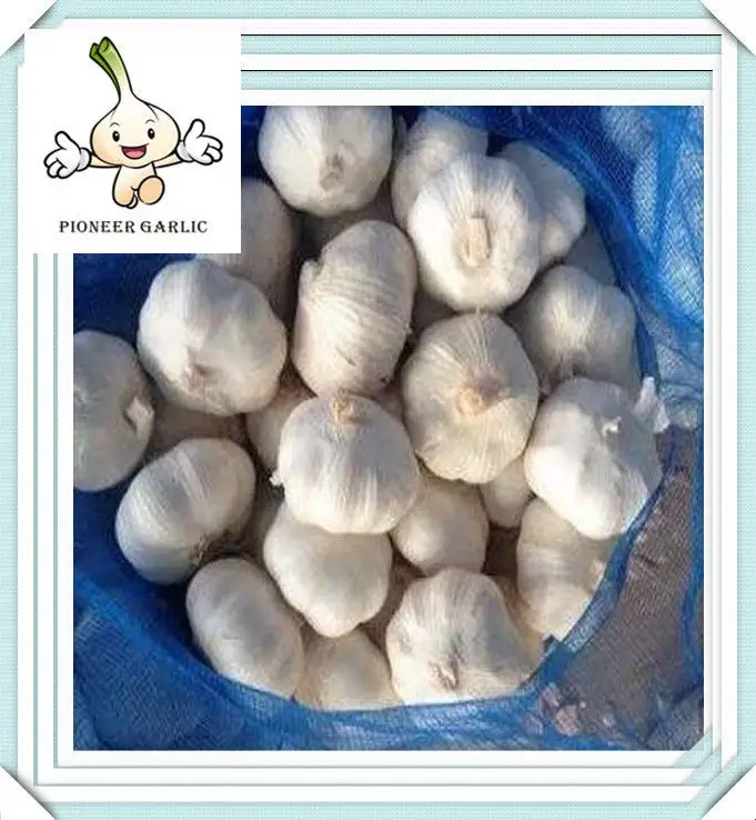 Chinese Fresh Garlic Pure White Garlic 5.5cm pure white garlic 10kg/mesh bag