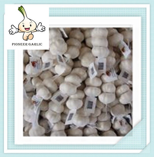 2015 Hot sale high quality Fresh Garlic fresh white garlic chinese garlic