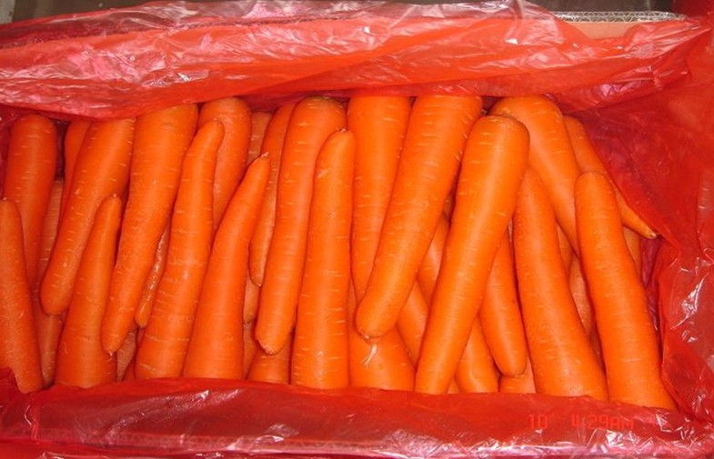 Nutritional Value Organic Carrot