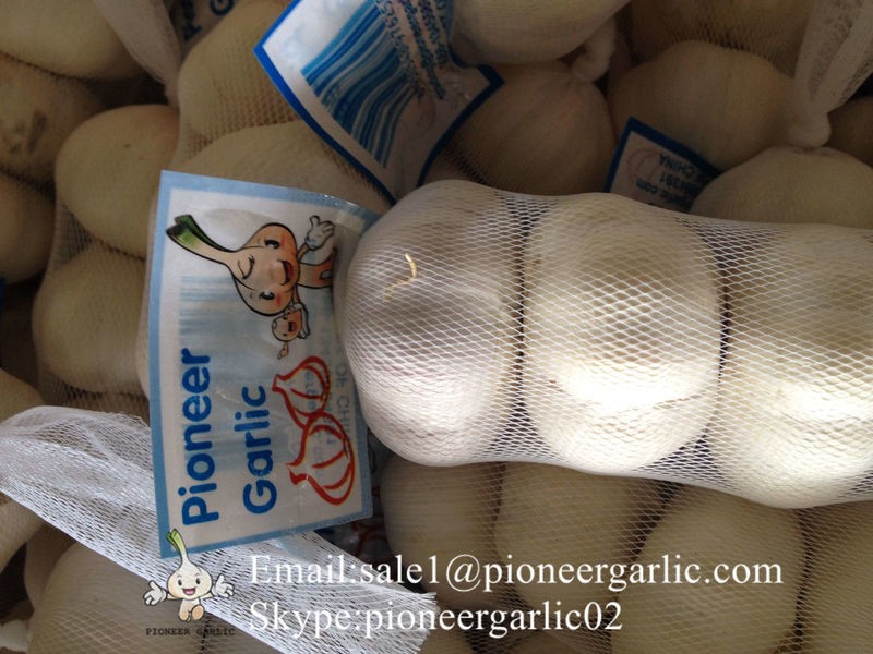 New Crop Chinese 5.5cm Pure White Fresh Garlic Small Packing In Mesh Bag
