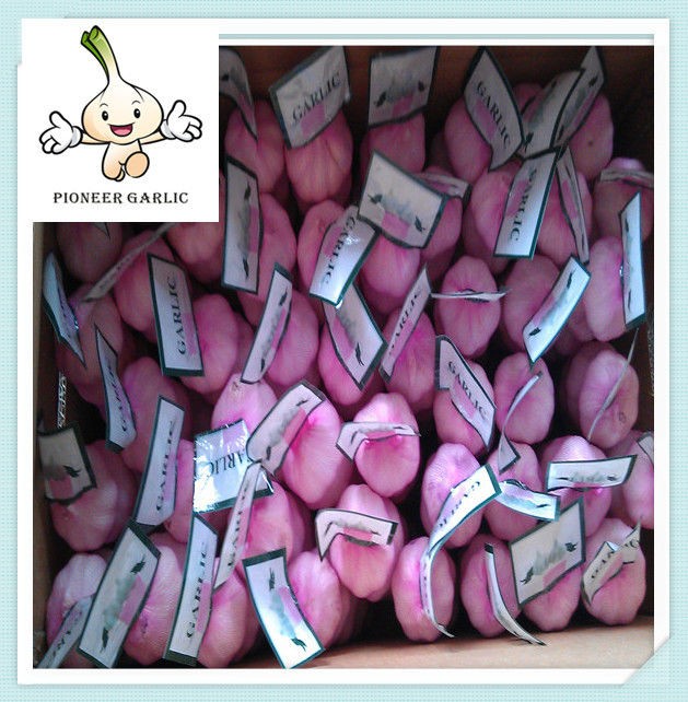 2015 Jinxiang nuevo ajo fresco con precio al por mayor/Ajo Blanco NORMAL