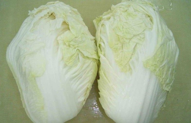 Organic Green Fresh Baby Chinese Napa Cabbage With Yellow Heart , No Pest, Taste delicious, nutritious