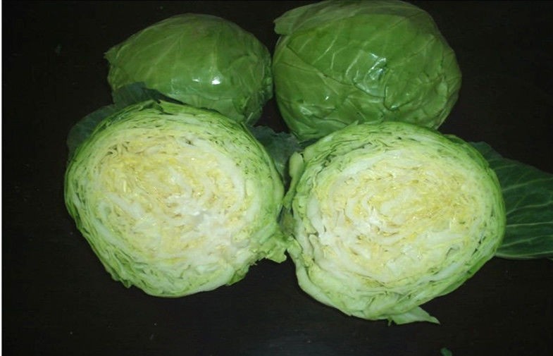 Fresh Green Round Chinese Napa Cabbage Light Sweet Taste , Anti-Breast Cancers, Petiole hypertrophy