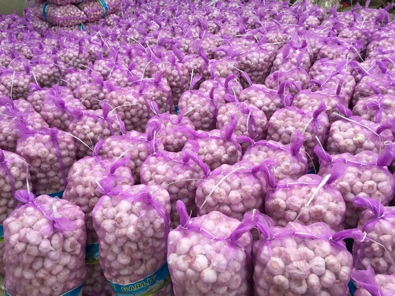new crop, best price Jinxiang best quality cheap red garlic