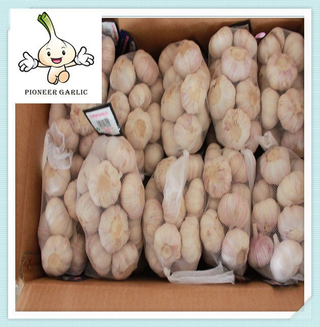 Chinese Fresh Garlic Top Quality Snow White Garlic 5.0cm Bag