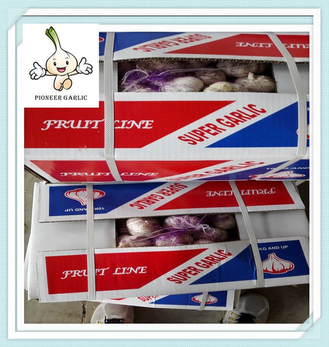 New Price Chinese Fresh Garlic Top Quality Snow White Garlic High Quality Chinese