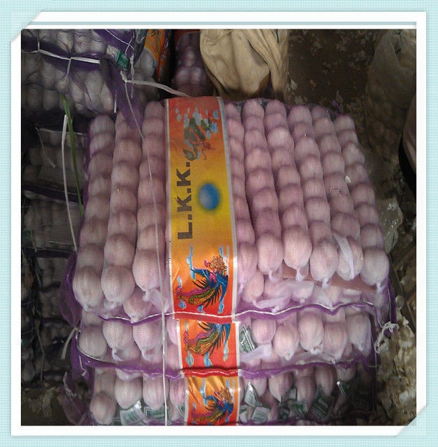 Chinese fresh garlic for sale in shandong New Crop Garlic