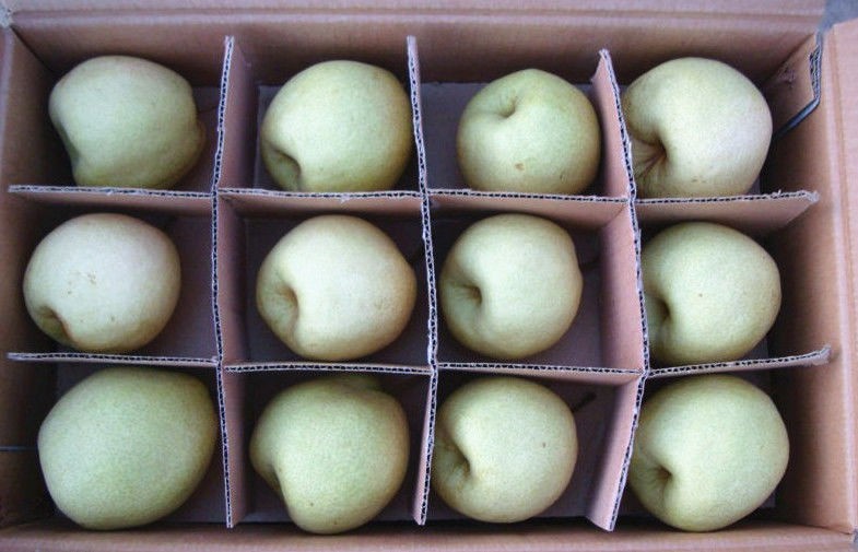 Green And Yellow Nutritional Fresh Pears Containing Lutein-Zeaxanthin