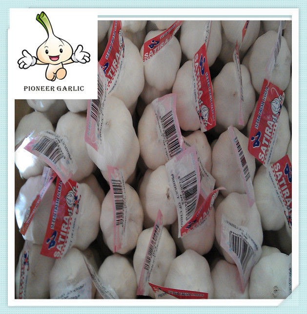 4.5---6.5 cm different size natural garlic /2022crop