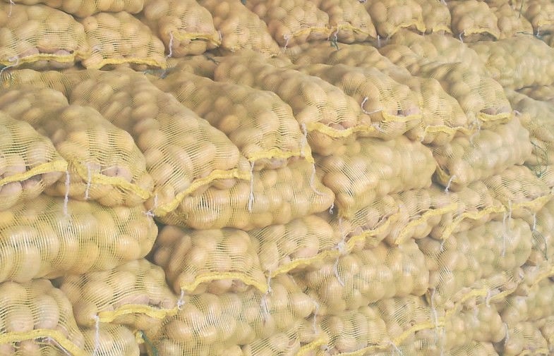 High Quality Healthy Holland Potato Contianing Calcium , Magnesium