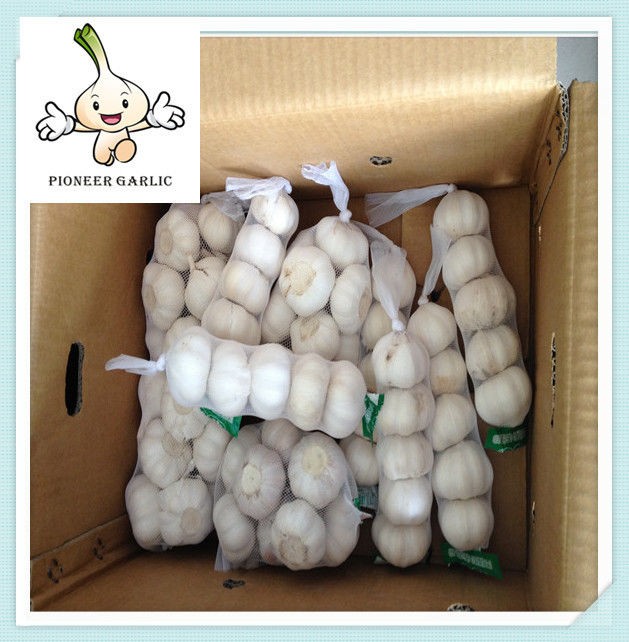 Garlic factory normal white garlic price packed in 10kg/ctn