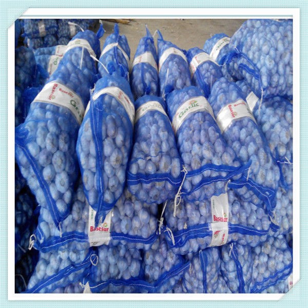 fresh garlic white / Normal white garlic / shandong jinxiang Garlic