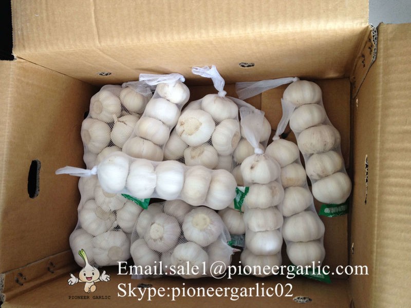 New Crop Chinese 5cm Pure White Fresh Garlic Small Packing In Box