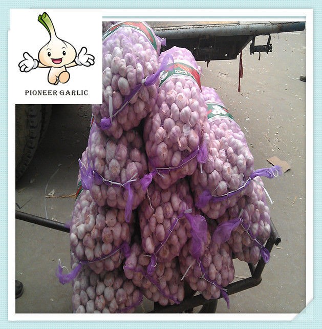 China 2022 ajo fresco para Haití, ajo blanco de alta calidad de China