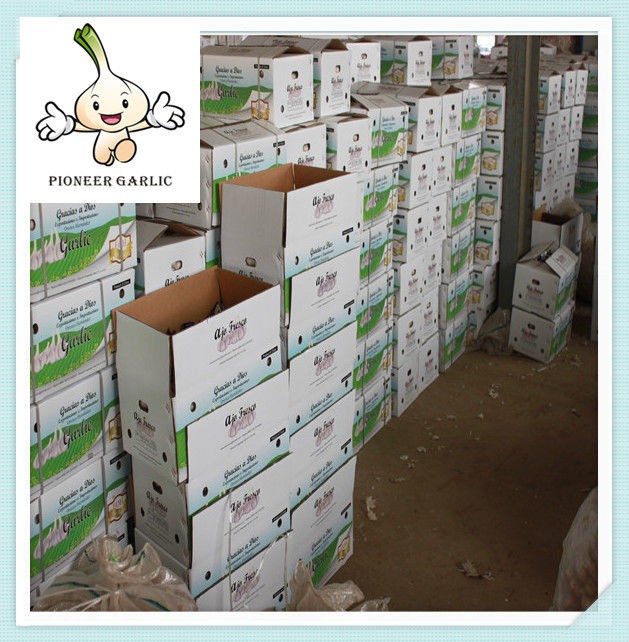 China garlic with low price 2015 Price of Garlic in Chinese