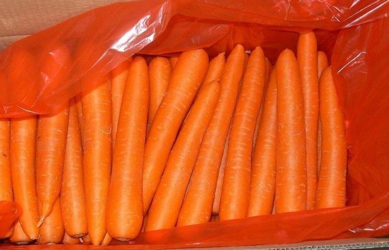 Bright Red Crunchy Organic Carrot With Round Head For Market , 300 - 350g, durable storage