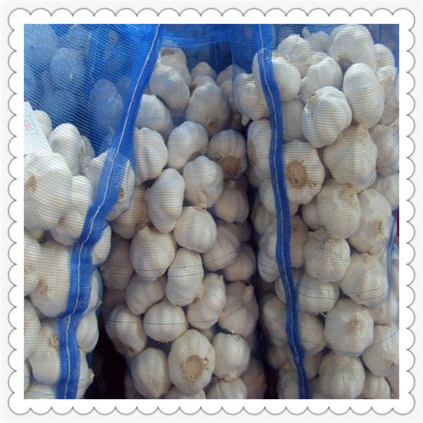 2015 Fresh Garlic Packed In 10kg Carton CHILE garlic new crop