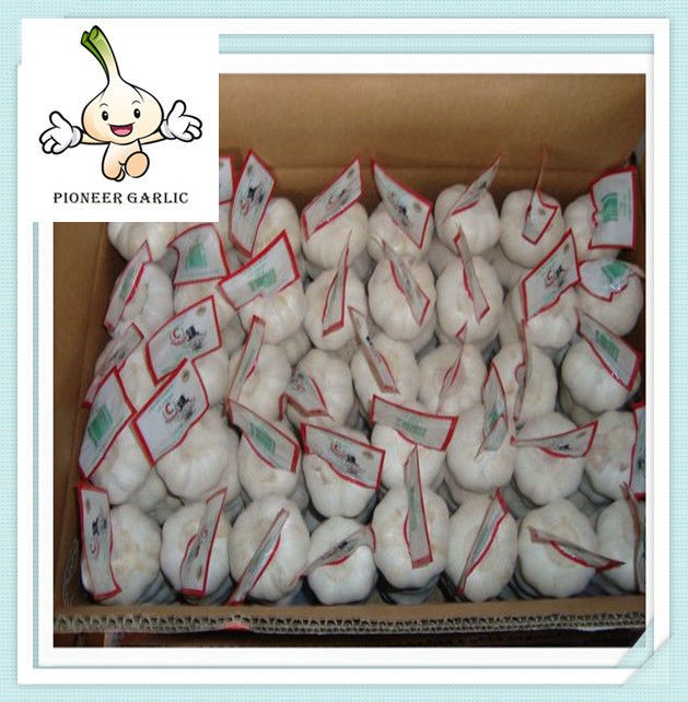 New arrival 2015 crop hot sale fresh normal white garlic