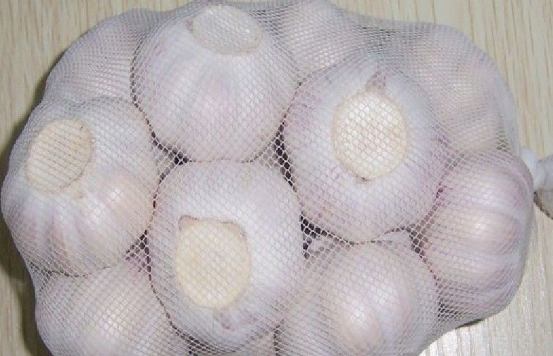 Ajo fresco orgánico de un solo diente sin raíz, piel gruesa y brillante, previene los resfriados