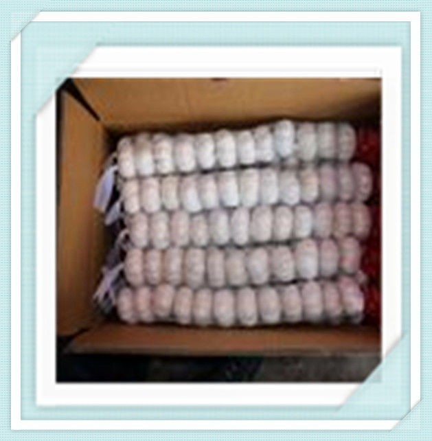 2015 white garlic exporter in China, professional manufacture to colombia